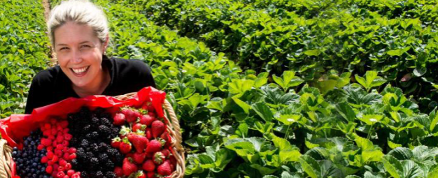 Tour du lịch Úc hái Cherry