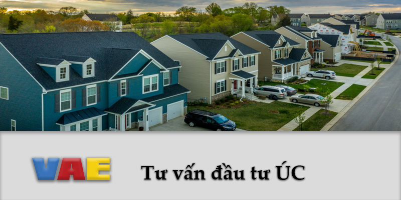 Dau tu